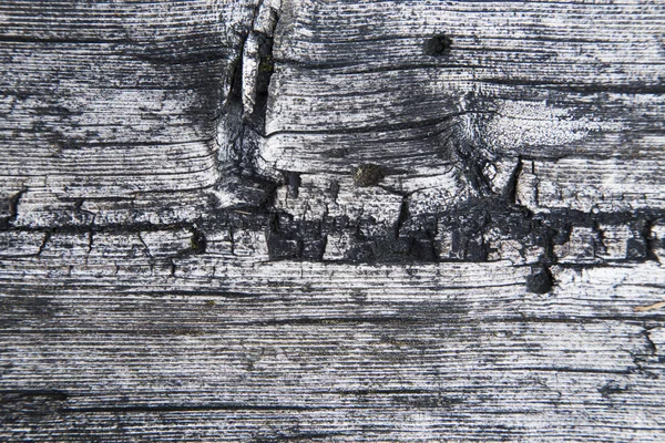 Tablero de madera vieja en macro —  Fotos de Stock