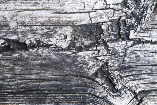Makró-régi fa tábla — Stock Fotó