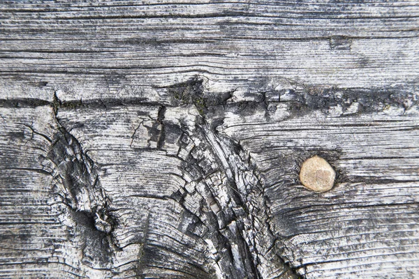 Makró-régi fa tábla — Stock Fotó