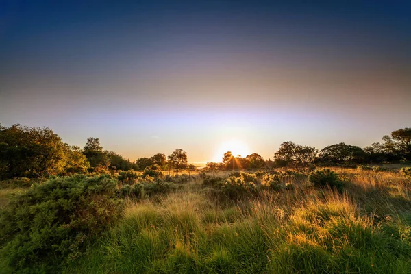 Hermoso Amanecer Pie Del Monte Mangerton Coounty Kerry Parque Nacional Fotos De Stock Sin Royalties Gratis