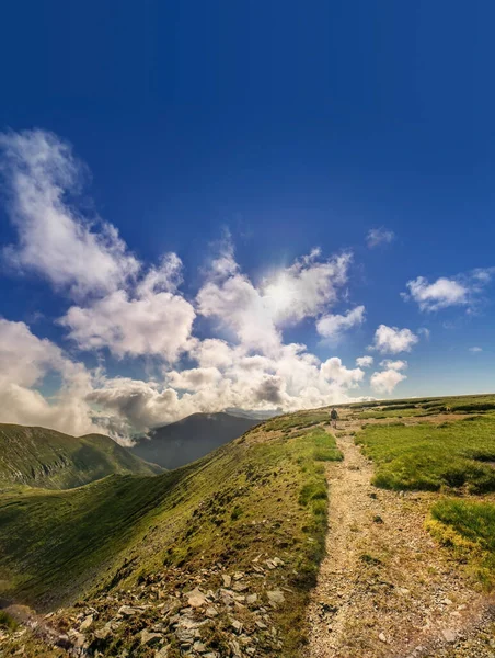 Wędrowiec Torze Szczyt Mount Mangerton Hrabstwo Kerry Killarney National Park — Zdjęcie stockowe