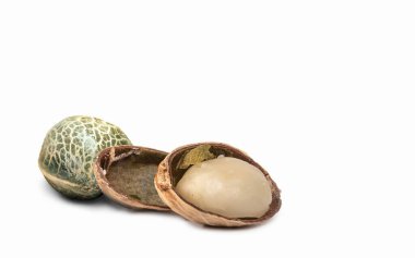 Beyaz arka planda iki kenevir tohumu. Kapat..