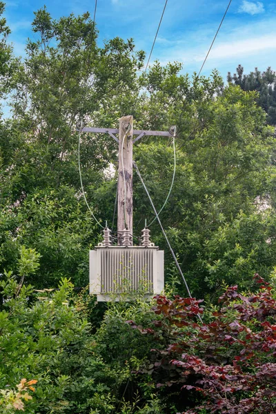 Wooden Pole Transformer Next Trees Summer — Stock Photo, Image