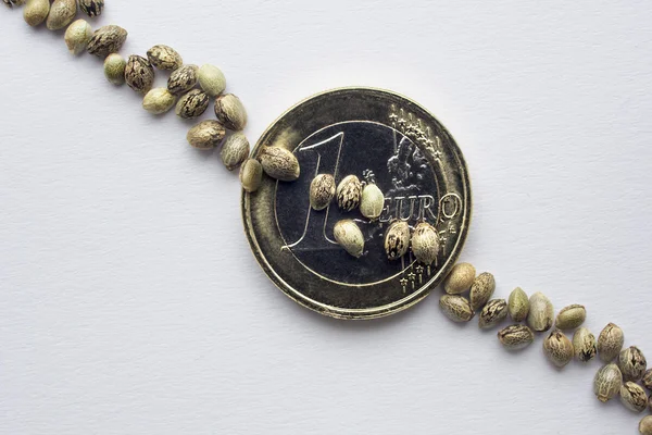 Monety euro jedna z nasion konopi — Zdjęcie stockowe