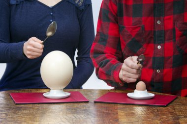 Kadın ve adam tavuk ve devekuşu yumurtası yeme kaşık ile