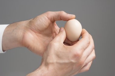 El ile tavuk yumurta erkek.