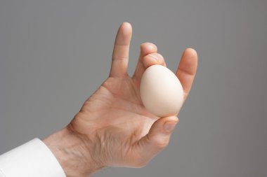 El ile tavuk yumurta erkek.