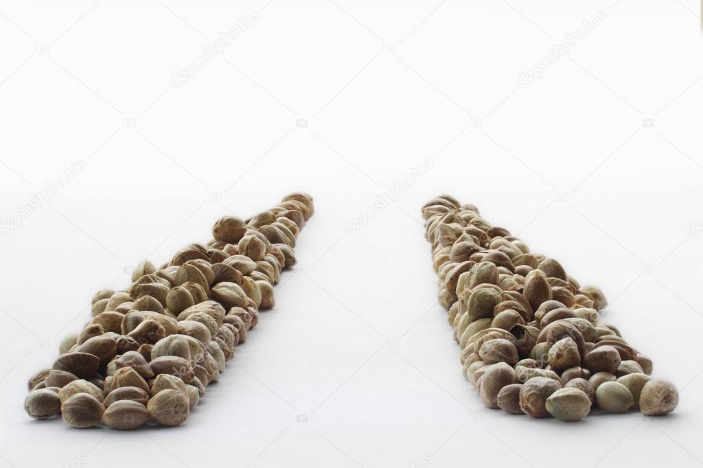 Cannabis seeds road