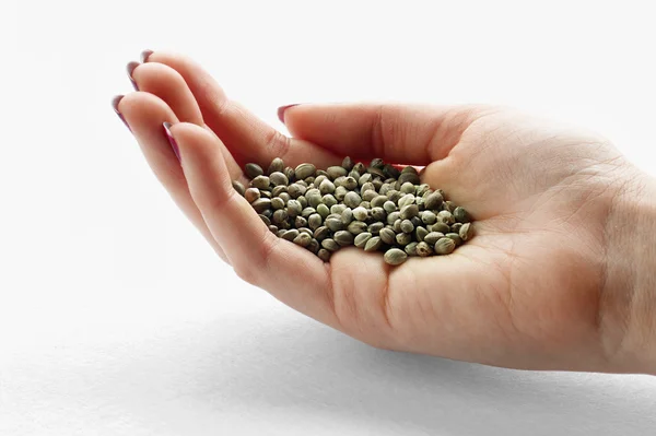 Hemp seeds in a woman's hand — Stock Photo, Image