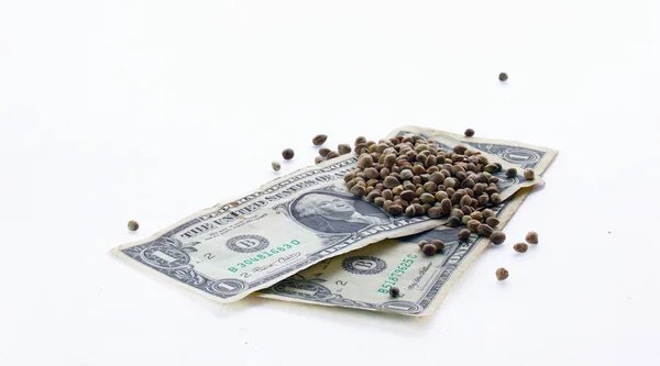 One dollar banknotes and hemp seeds — Stock Photo, Image