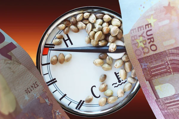 Auto thermometer ten euro banknotes and hemp seeds — Stock Photo, Image