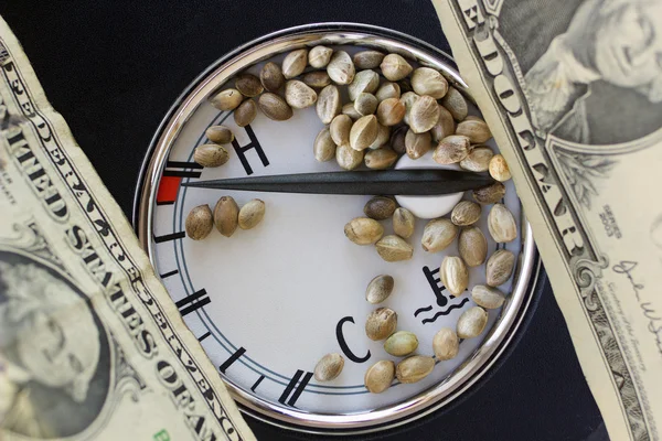 Auto thermometer dollar banknotes and hemp seeds — Stock Photo, Image