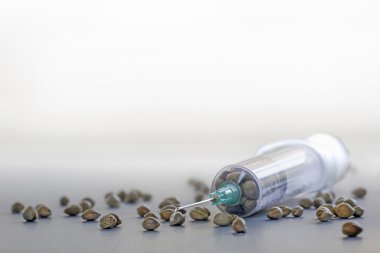 Bir şırınga kenevir tohumu