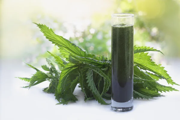 Nettles ve ısırgan suyu bir bardak yapılmış bir smoothie