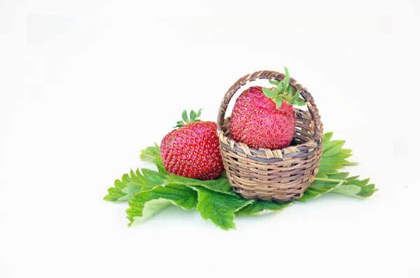 Dos fresas maduras y una pequeña canasta — Foto de Stock