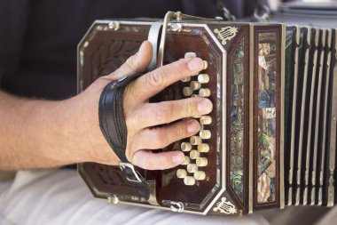 Bandoneon oynayan adam