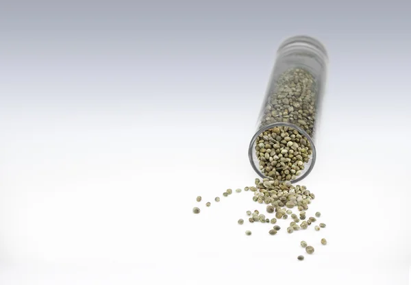 Glass with three kinds of  hemp seeds — Stock Photo, Image
