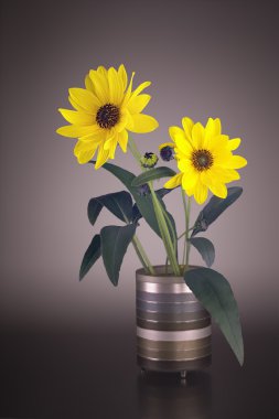 Arnica blossoms in a vase clipart