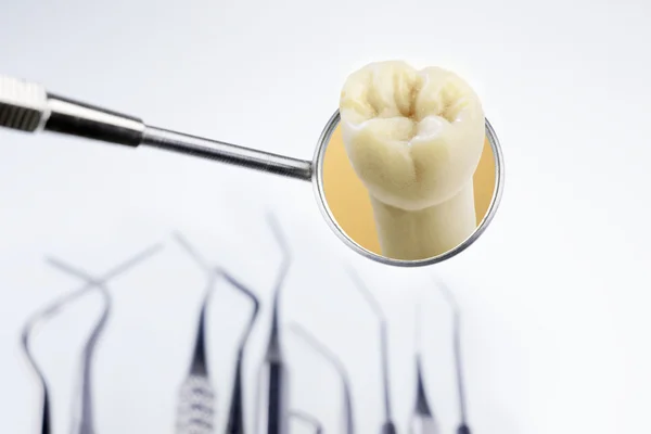 Інструменти стоматолога та модель зуба у дзеркалі стоматолога — стокове фото