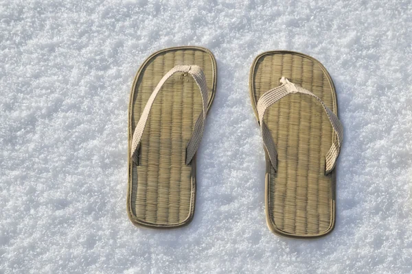 在白雪上欣赏夏季翻盖凉鞋的近景 — 图库照片
