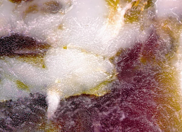 Makro Görünümü Yapısında Yağ Tütsülenmiş Sosis — Stok fotoğraf