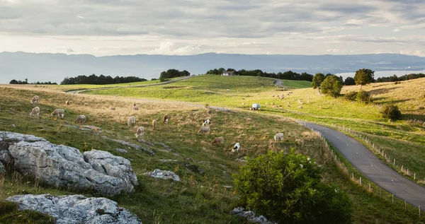 Mont Saleve, Cenevre Gölü (Leman) ve Jura Dağları 'nın tepesinde güzel bir günün sonunda alçak ışık. Haute-Savoie, Fransa