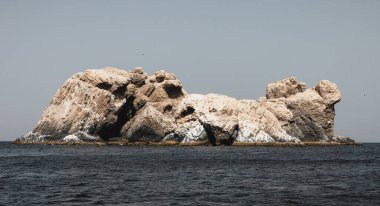 Dakar yakınlarındaki kuş cenneti, Senegal
