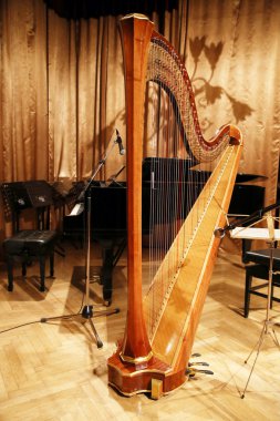Konser öncesi salonunda güzel altın harp