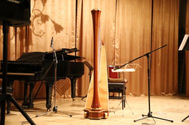 Konser öncesi salonunda güzel altın harp