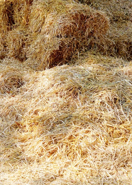 夏天干草的背景从栈。干草堆特写作为一个 backg — 图库照片