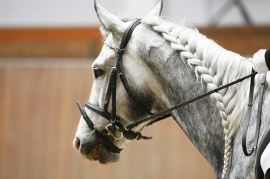 Örgü bir atlama için estetik açıdan çekici bir görünüm sağlar 