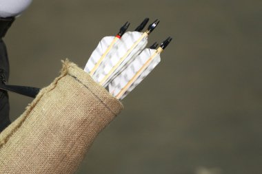 Titreme bir arka planı olarak çeşitli renkli oklar