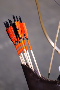 Titreme bir arka planı olarak çeşitli renkli oklar