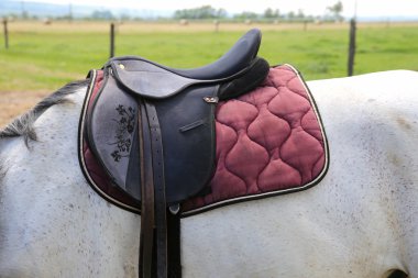 Deri at eyer bir gri ata kırsal sahne