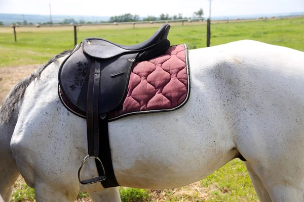 Asiento de cuero detalles de primer plano a caballo — Foto de Stock