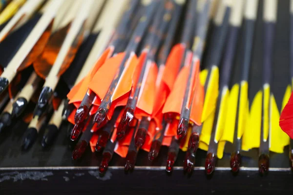 Flèches sportives colorées dans une rangée — Photo