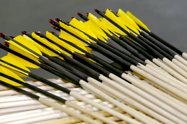 End of sport archery arrows in row — Stock Photo, Image