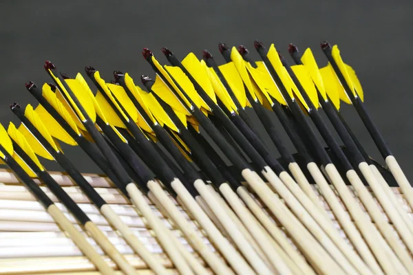 Wooden archery arrows with plastic nocks and natural feathers — Stock Photo, Image