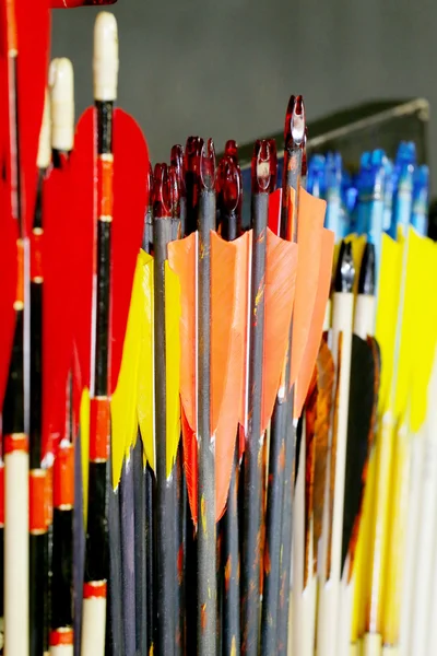 Un ensemble de flèches sportives modernes. Fin des flèches avec des plumes — Photo