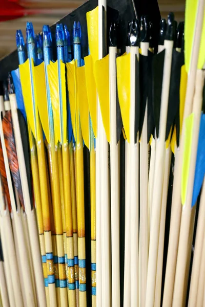 End of colorful sport archery arrows in row — Stock Photo, Image