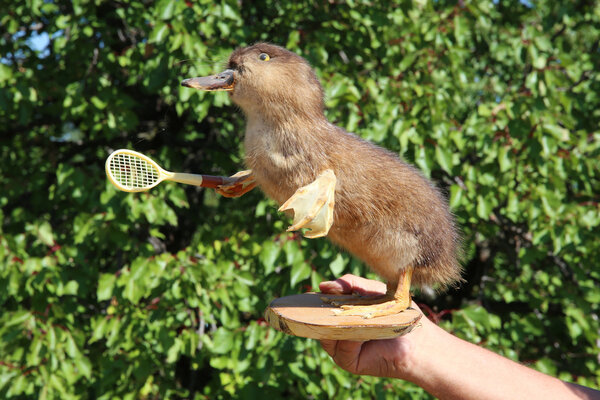 Смешная пушистая утка с ракеткой
