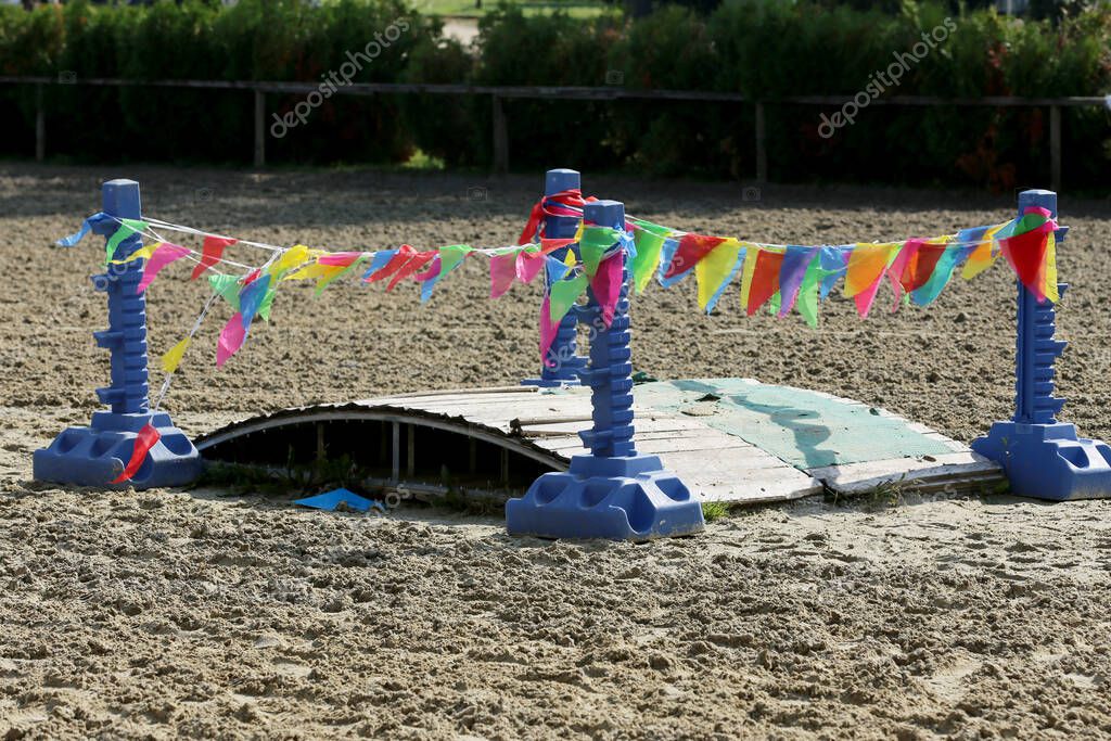 Enseña a tu caballo a cruzar un puente con confianza 2023