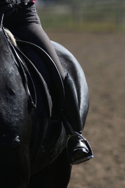 Şov için üzengilerle dolu eski deri bir eyer. Bir spor atının sırtındaki eyer. Binicilik sporu arka planı