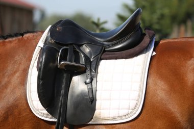 Şov için üzengilerle dolu eski deri bir eyer. Bir spor atının sırtındaki eyer. Binicilik sporu arka planı