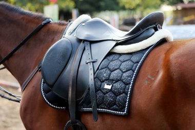 Şov için üzengilerle dolu eski deri bir eyer. Bir spor atının sırtındaki eyer. Binicilik sporu arka planı