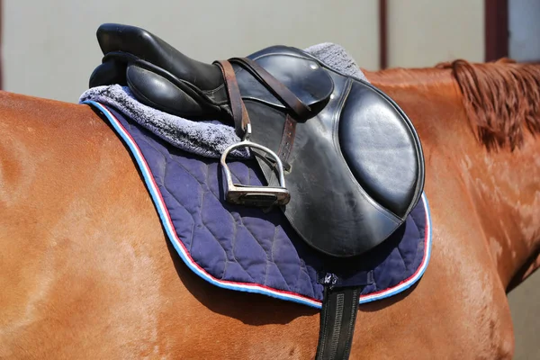 Old leather saddle with stirrups for show jumping race Saddle on a back of a sport horse. Equestrian sport event background