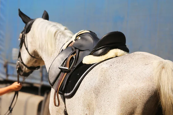 Staré Kožené Sedlo Třmeny Pro Show Jumping Závod Sedlo Hřbetě — Stock fotografie