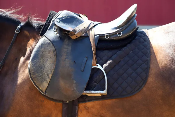 Staré Kožené Sedlo Třmeny Pro Show Jumping Závod Sedlo Hřbetě — Stock fotografie