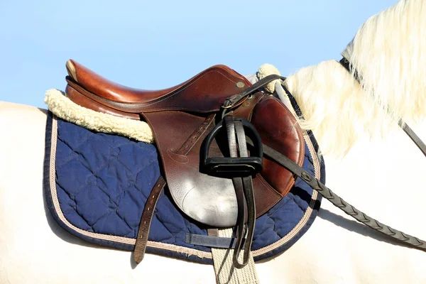 Старое Кожаное Седло Стременами Скачек Лошадях Конный Спорт Фон — стоковое фото
