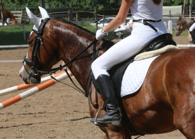 Yaz mevsiminde, atlama yarışında yarışan bilinmeyen bir yarışmacı. Atlayan atı eyer altında göster